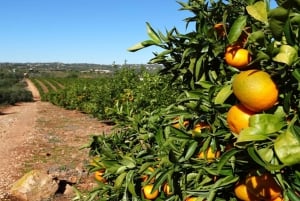 Albufeira: Safariretki Algarven vuoristossa