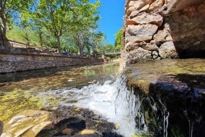 Albufeira: Safariretki Algarven vuoristossa