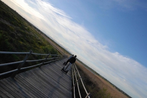 Albufeira: Salgados Nature Reserve Segway Tour