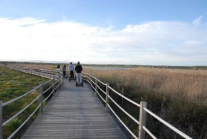 Albufeira: Salgados Nature Reserve Segway Tour