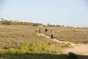 Albufeira: Salgadosin luonnonsuojelualue Segway-kierros