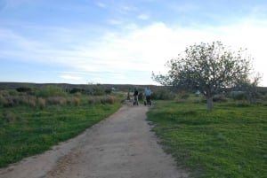 Albufeira: Salgadosin luonnonsuojelualue Segway-kierros