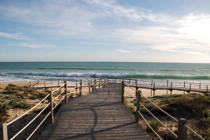 Albufeira: Salgados Nature Reserve Segway Tour