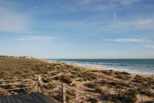 Albufeira: Salgados Nature Reserve Segway Tour