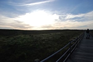 Albufeira: Salgados Naturreservat Segway-Tour