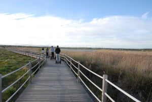 Albufeira: Salgados Naturreservat Segway-Tour