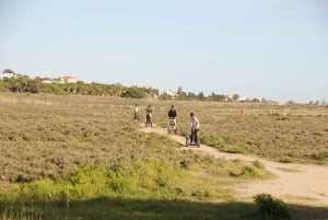 Albufeira: Salgados Naturreservat Segway-Tour