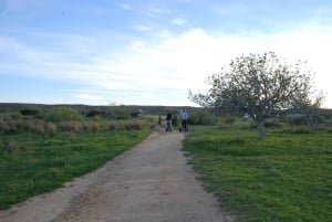 Albufeira: Salgados Naturreservat Segway-Tour