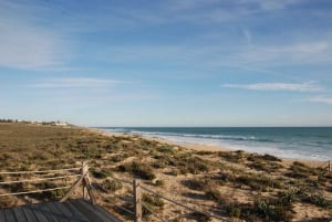 Albufeira: Salgados Naturreservat Segway-Tour
