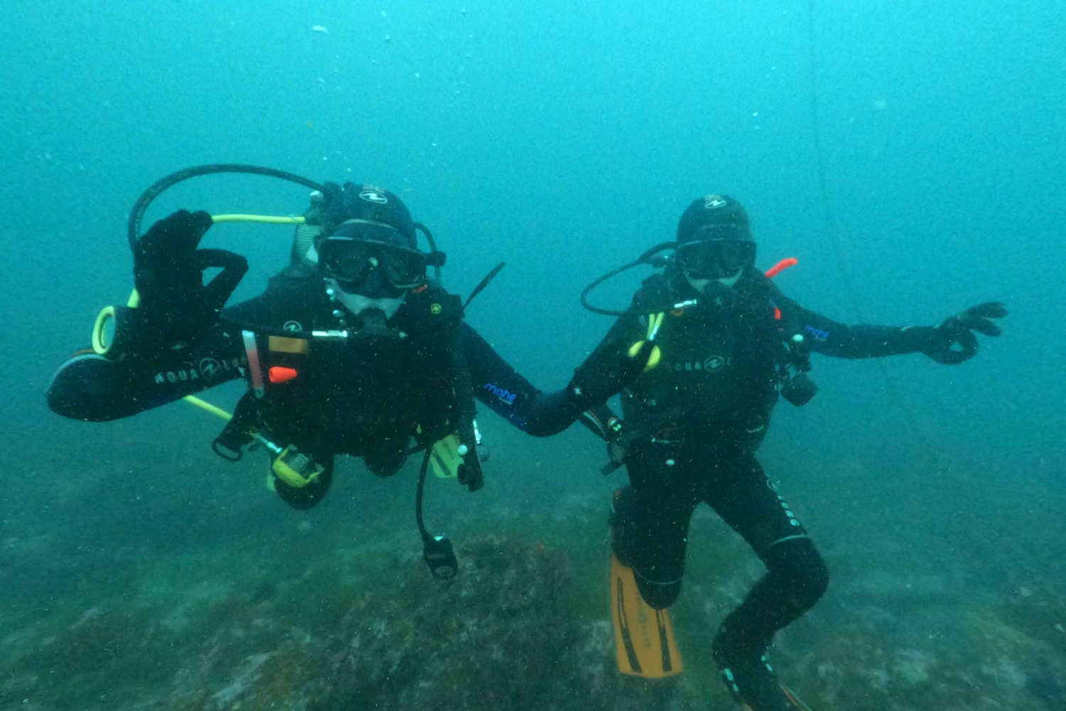 Albufeira: Experiencia de buceo para principiantes
