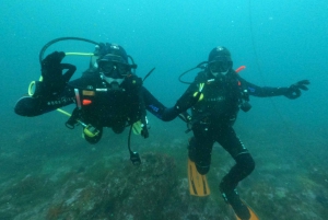 Albufeira: Scuba Diving Experience for Beginners