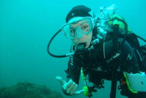 Albufeira: Scuba Diving Experience for Beginners