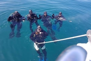 Albufeira: Scuba Diving Experience för nybörjare