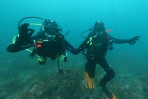 Albufeira: Scuba Diving Experience for begyndere