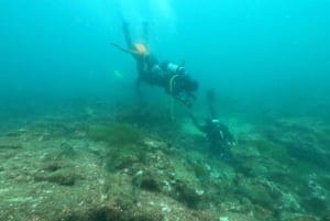 Albufeira : expérience de plongée sous-marine pour débutants