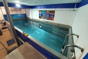 Albufeira: Experiencia de buceo para principiantes