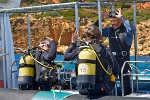 Albufeira: Experiencia de buceo para principiantes