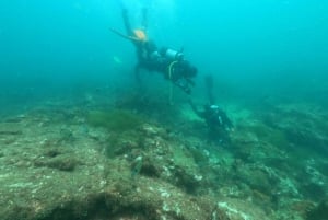 Albufeira: Experiencia de buceo para principiantes