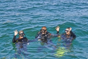 Albufeira: Experiencia de buceo para principiantes