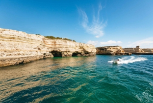 Albufeira: Sightseeing Cruise with Beach BBQ and Open Bar