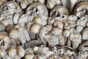 Albufeira: Silves Castle and Chapel of Bones,