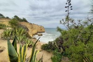 Albufeira: Silves Castle, Marinha Beach, and Benagil