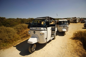 Albufeira: Tuk Tuk Ride with Old Town and Beaches