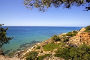 Albufeira: giro in tuk tuk con la città vecchia e le spiagge