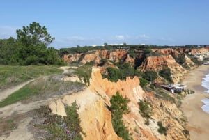 Albufeira: Tuk-tuk Sightseeing Tour