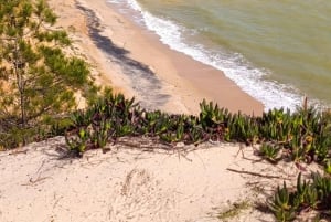 Albufeira: Tuk-tuk Sightseeing Tour