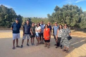 Albufeira/Vilamoura: Weinkeller Tour mit Weinverkostung und Tapas