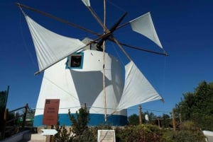 Albufeira: Weinprobe-Tour – 4 Std.