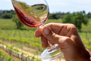 Albufeira: Weinprobe-Tour – 4 Std.