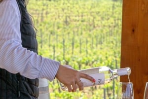 Albufeira: Weinprobe-Tour – 4 Std.