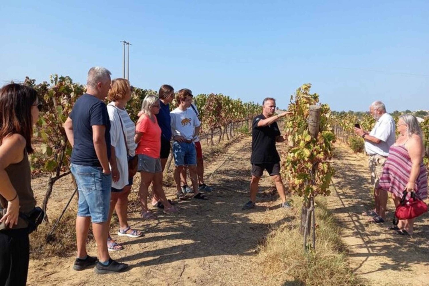 Albufeira: Vingårdstur med vinsmaking og tapas