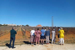 Albufeira: Winery Tour with Wine Tasting and Tapas