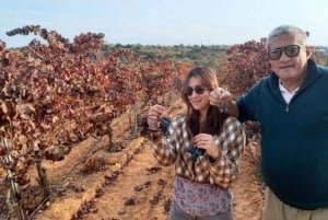 Albufeira: Winery Tour with Wine Tasting and Tapas