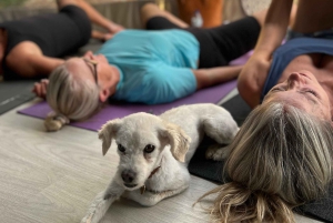 ALBUFEIRA: Yoga Class in a Dome or the Beach