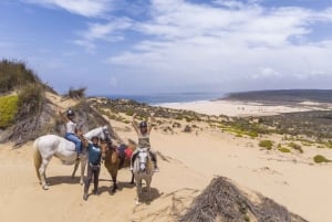 Algarve: tour de 1 hora a caballo por Carrapateira