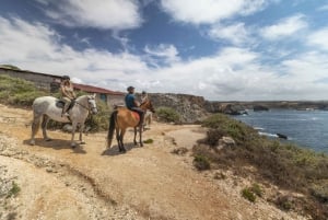 Algarve: 1 tunnin Carrapateiran ratsastusretki