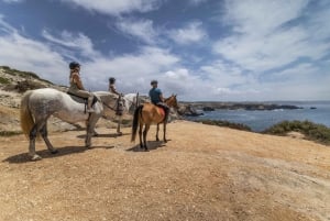 Algarve: Passeio a Cavalo de 1 Hora na Carrapateira