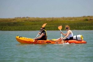 Algarve: 2-Hour Ria Formosa Kayak Tour from Faro