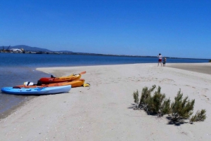 Algarve: 2-timers kajaktur i Ria Formosa fra Faro