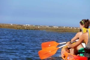 Algarve: Passeio de caiaque de 2 horas na Ria Formosa saindo de Faro