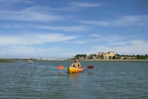 Algarve: Passeio de caiaque de 2 horas na Ria Formosa saindo de Faro