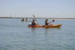 Algarve: 2-timers kajaktur i Ria Formosa fra Faro