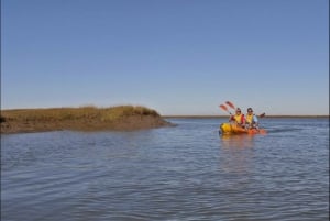 Algarve : 2 heures d'excursion en kayak dans la Ria Formosa au départ de Faro