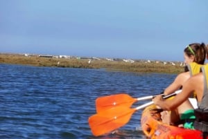 Algarve: 2-Hour Ria Formosa Kayak Tour from Faro