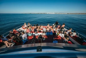 Passeio de barco de 3 horas pelas cavernas e pela costa do Algarve