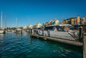 Passeio de barco de 3 horas pelas cavernas e pela costa do Algarve